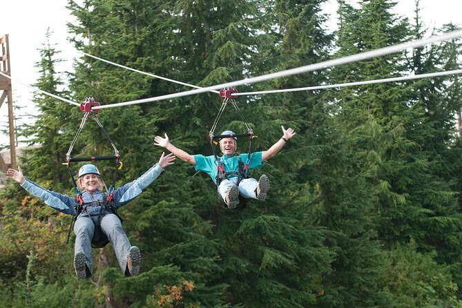 Small Group Tour: Capilano Suspension Bridge and Grouse Mountain from Vancouver - Logistics and Practicalities: What You Need to Know