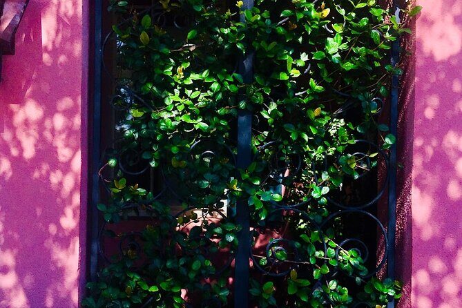 Small-Group Tour: Charleston Old Walled City Historical Walking Tour - What Travelers Are Saying
