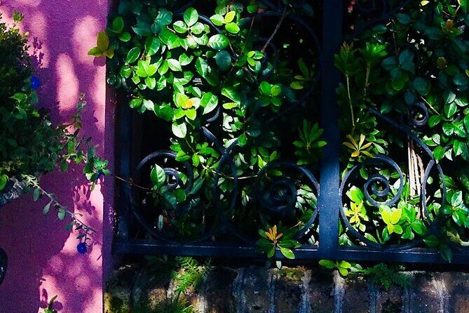 Small-Group Tour: Charleston Old Walled City Historical Walking Tour - The Sum Up: Who Should Consider This Tour?