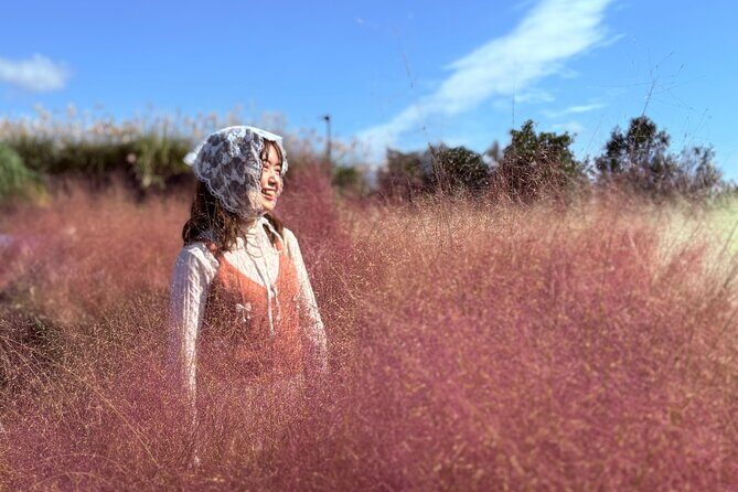 Small Group Tour for Jeju Fall Pink Muhly, Tangerines & Mt. Halla - The Practicalities: What You Need to Know