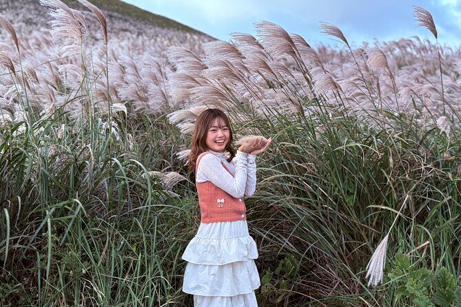 Small Group Tour for Jeju Fall Pink Muhly, Tangerines & Mt. Halla - The Sum Up