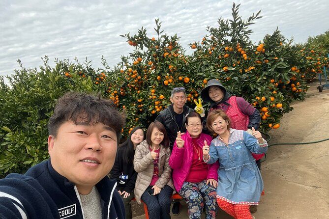 Small group tour FULL - PACKAGE Tour to All Areas in Jeju Island - Key Points