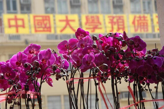 Small-Group Tour: Hong Kong Local Markets Hopper [PROMOTION] - Key Points