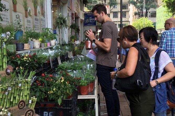 Small-Group Tour: Hong Kong Local Markets Hopper [PROMOTION] - What Travelers Should Know