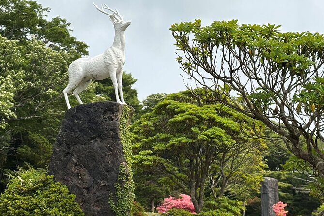 Small Group Tour in South Jeju including Yacht, Falls & Mt.Halla - FAQ