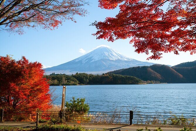 Small Group Tour Mount Fuji and Lake Kawaguchi from Tokyo - Who Will Love This Tour?