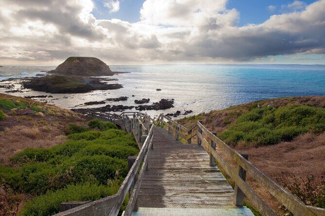 Small Group Tour of 2-7pax in Phillip Island & Churchill Island - Koala Conservation Reserve: Up Close with Aussie Icons