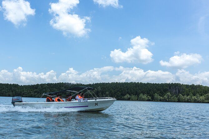 Small-Group Tour to Can Gio Vam Sat Mangrove Forest - An In-Depth Look at the Tour Itself