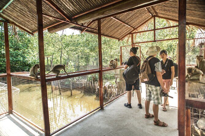 Small-Group Tour to Can Gio Vam Sat Mangrove Forest - Who Is This Tour Best Suited For?
