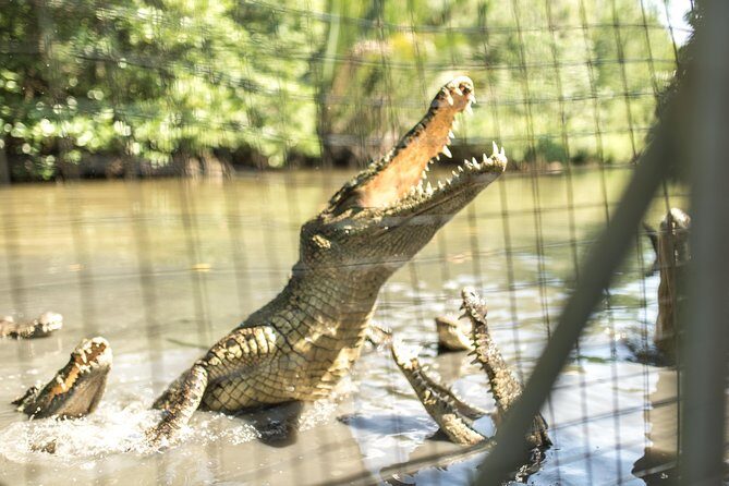 Small-Group Tour to Can Gio Vam Sat Mangrove Forest - The Sum Up