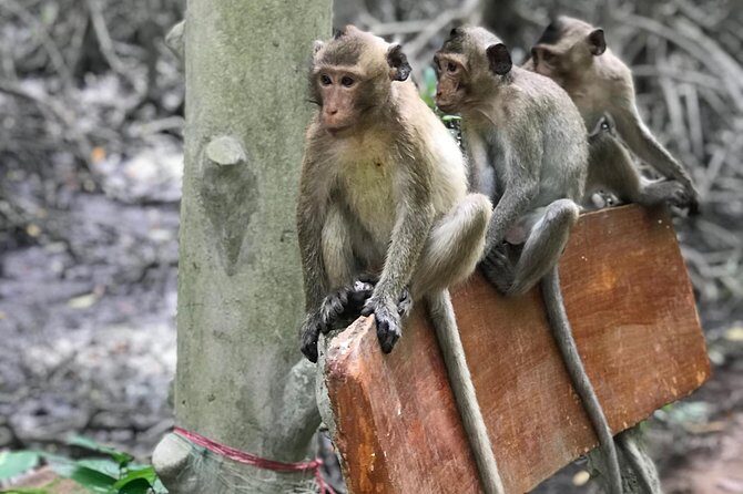 Small-Group Tour to Can Gio Vam Sat Mangrove Forest - Frequently Asked Questions