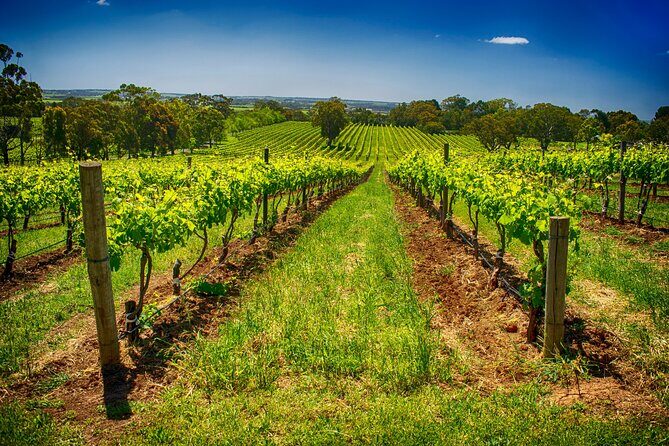 Small Group Tour to Coast, Vales and Hills with Lunch - FAQ