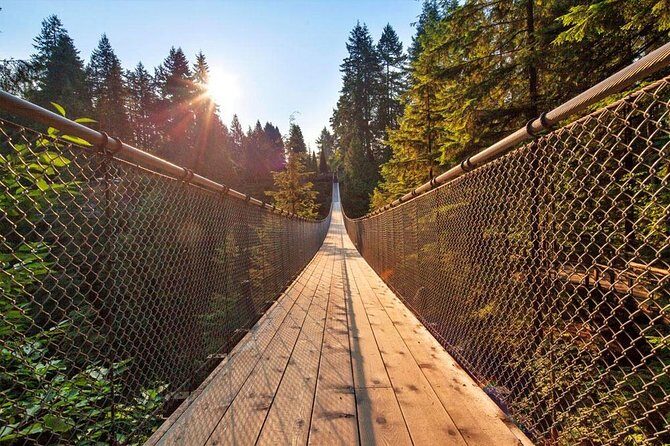 Small Group Tour: Vancouver Sightseeing and Capilano Suspension Bridge - The Experience in Practice