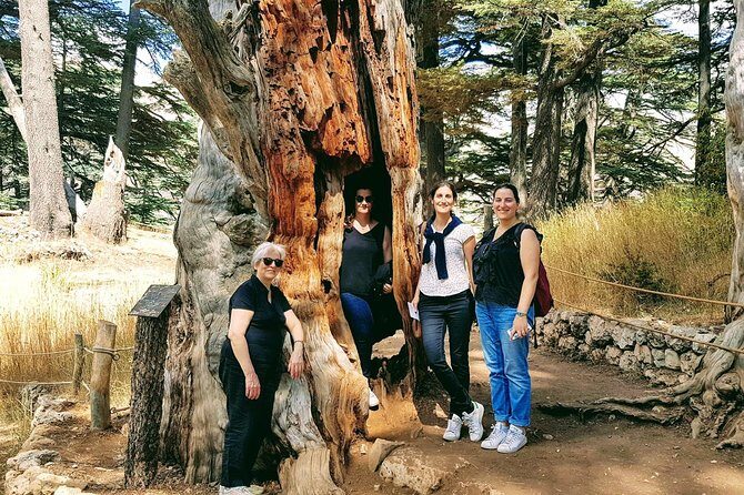 Small-Group Tour with Lunch to Qadisha Valley, Bcharre and Cedars - Who Is This Tour Best For?