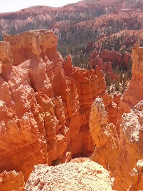 Small Group Tour Zion & Bryce Canyon National from Las Vegas - Authentic Experiences and Traveler Insights