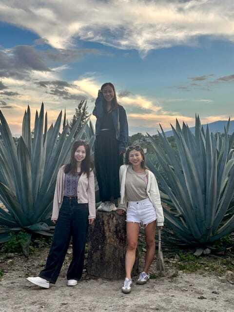 Small group tours: Hierve el Agua, Mezcal, Teotitlán, Mitla and Tule. - FAQs