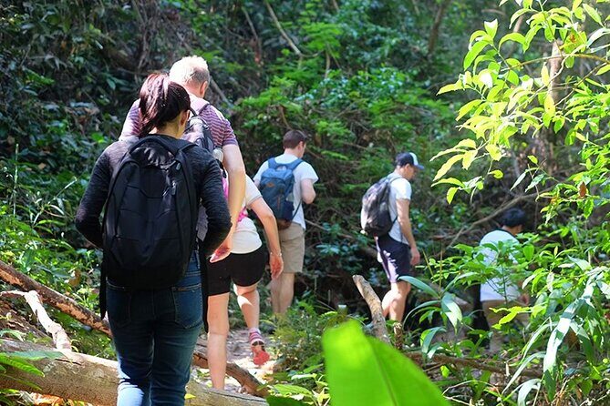 Small Group : Trekking Trip in Chiang Mai (Doi Suthep Area) with Market Tour - Key Points
