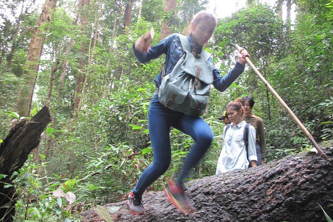 Small Group : Trekking Trip in Chiang Mai (Doi Suthep Area) with Market Tour - The Itinerary: A Step-by-Step Breakdown