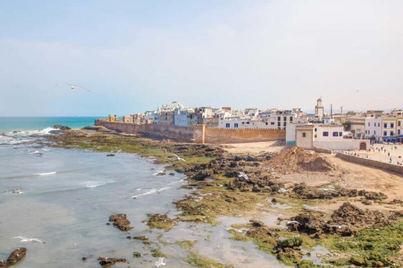 Small Group: Trip From Marrakech To Essaouira Mogador - Who Should Consider This Tour?