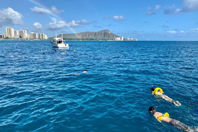 Small Group Turtle Canyon Snorkel in Waikiki - An In-Depth Look at the Experience