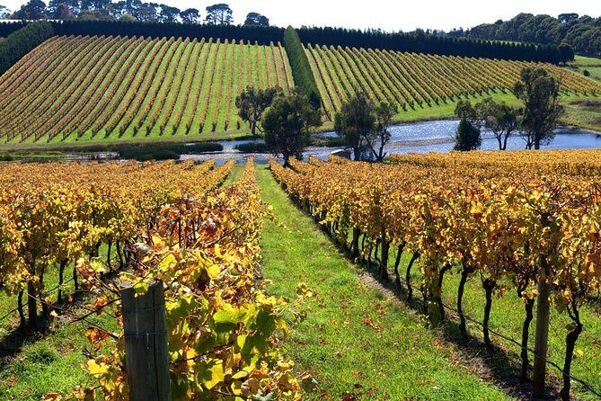 Small Group: Ultimate Mornington Peninsula Food and Wine Day - FAQ