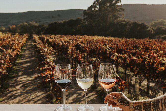 Small Group: Ultimate Napa & Sonoma Wine Tour from San Francisco - FAQ