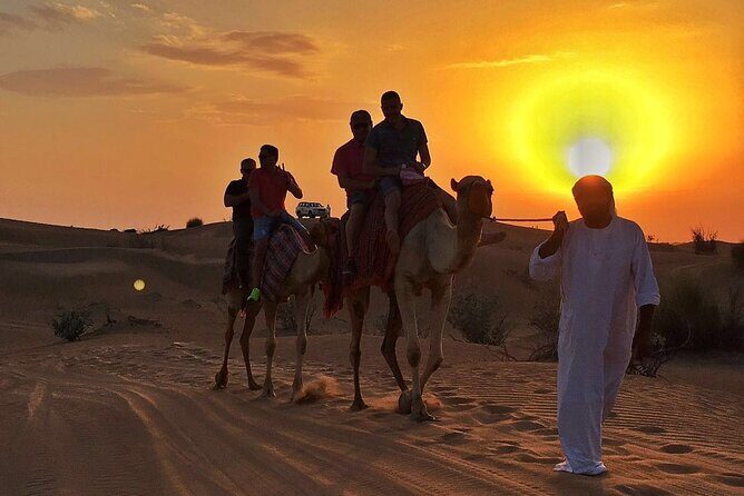 Small-Group UTV Desert Adventure with Camel Ride Experience - Who Is This Tour Best For?