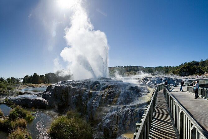 Small Group Waitomo and Rotorua including Te Puia Tour - Who Is This Tour Best For?