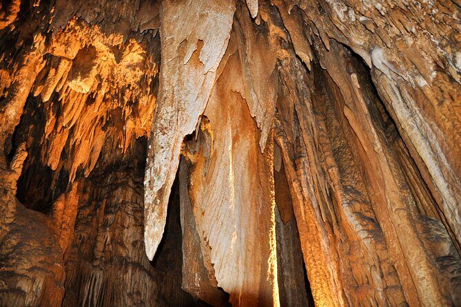 Small Group Washington DC to Shenandoah &Luray Caverns 1-Day Trip - Transportation and Group Dynamics