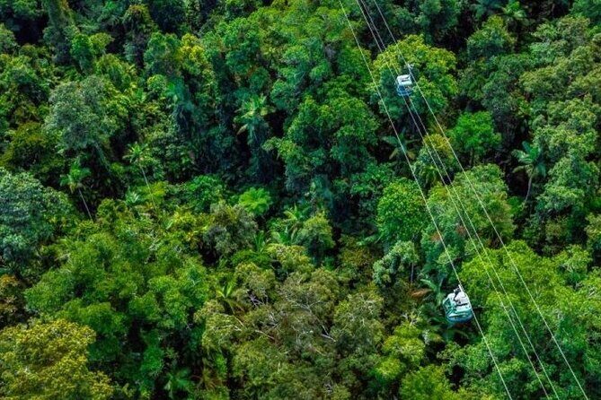 Small Group Waterfall Wetlands+ Skyrail All Inclusive from Cairns - An In-Depth Look at the Tour Experience