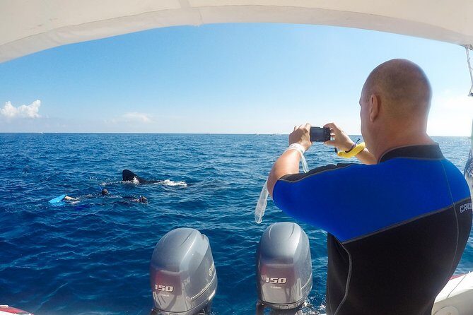 Small Group Whale Shark Encounter - 10 years in business - Practical Considerations