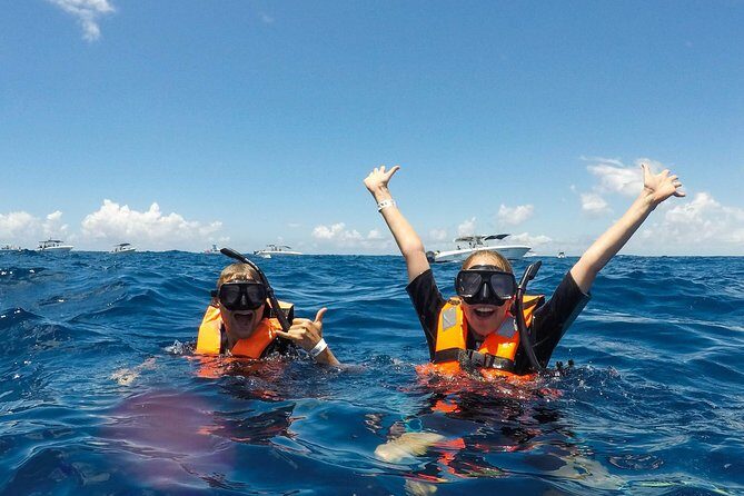 Small Group Whale Shark Encounter - 10 years in business - The Sum Up