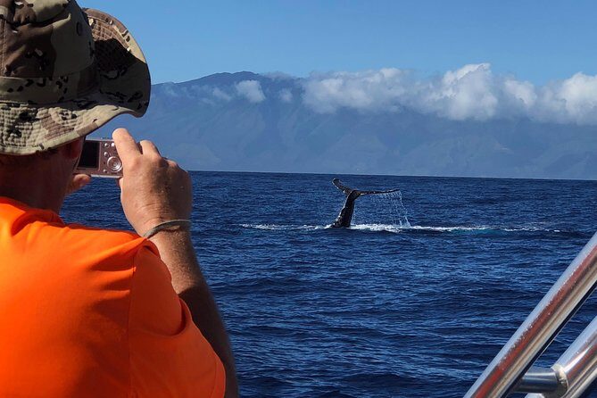 Small-Group Whale Watching Adventure - Frequently Asked Questions