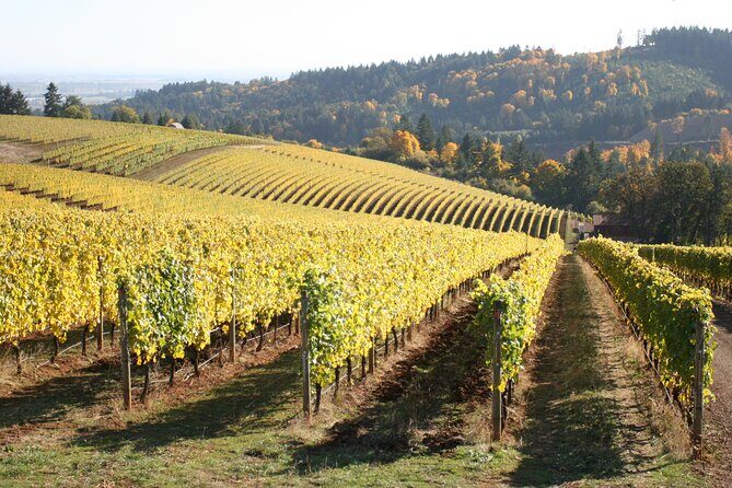 Small Group: Willamette Valley Wine Tour From Portland (Tasting Fees Included) - Who Will Love This Tour?