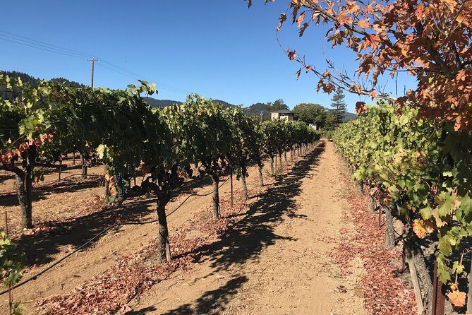 Small-Group Wine Country Tour from San Francisco with Tastings - Who Should Consider This Tour