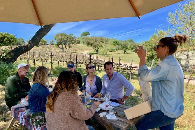 Small-Group Wine Tour to Private Locations in Santa Barbara - Who Will Benefit Most from This Tour?