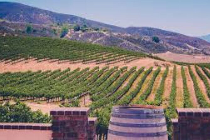Small Group Wine Tour to Temecula from Los Angeles - In-Depth Look at the Tour Experience
