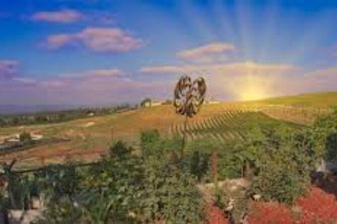 Small Group Wine Tour to Temecula from Los Angeles - Final Thoughts