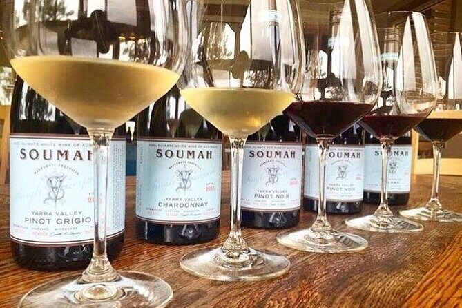 Small Group Yarra Valley: Redwoods Forest & Premium Wine Tour - An In-Depth Look at What the Tour Offers