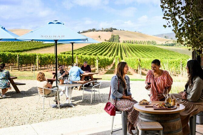 Small Group Yarra Valley: Redwoods Forest & Premium Wine Tour - Who Will Love This Tour?