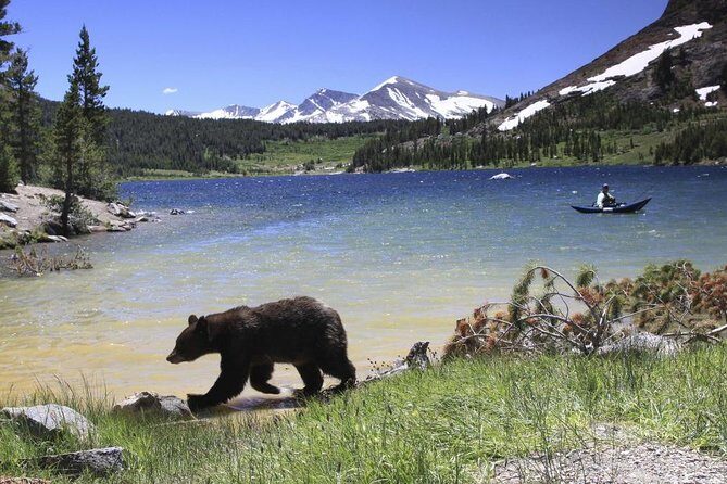 Small Group Yosemite and Giant Sequoias Day Trip from San Francisco - What Do Travelers Say?