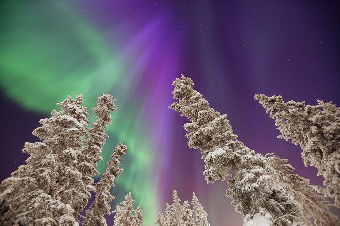 Small Group Yukon Aurora Viewing - An In-Depth Look at the Yukon Aurora Viewing Tour