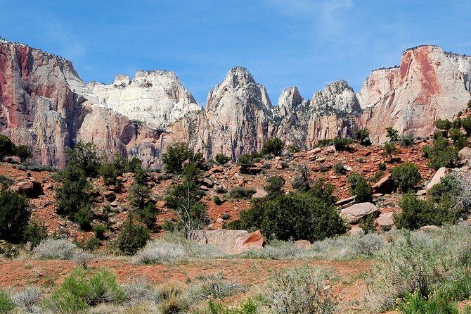 Small-Group Zion National Park Day Tour from Las Vegas - What the Reviews Say