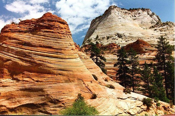 Small-Group Zion National Park Day Tour from Las Vegas - The Sum Up: Who Will Love This Tour?