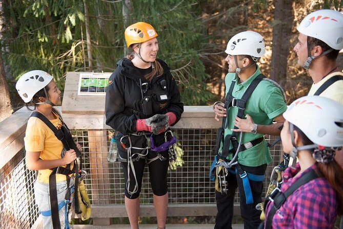Small-Group Zipline Adventure in Queenstown - What You Can Expect on the Tour