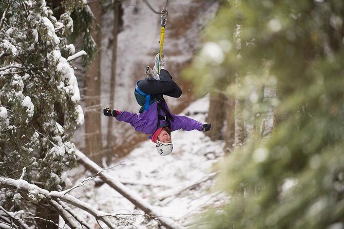 Small-Group Zipline Adventure in Queenstown - Practical Details & Tips