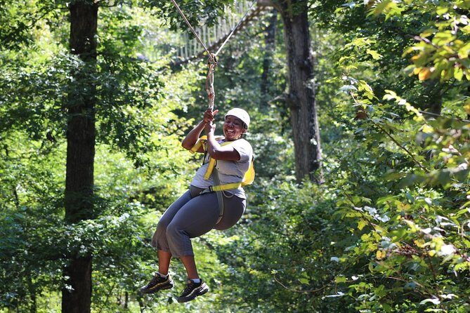 Small-Group Zipline Tour in Hot Springs - What to Expect from Your Hot Springs Zipline Experience