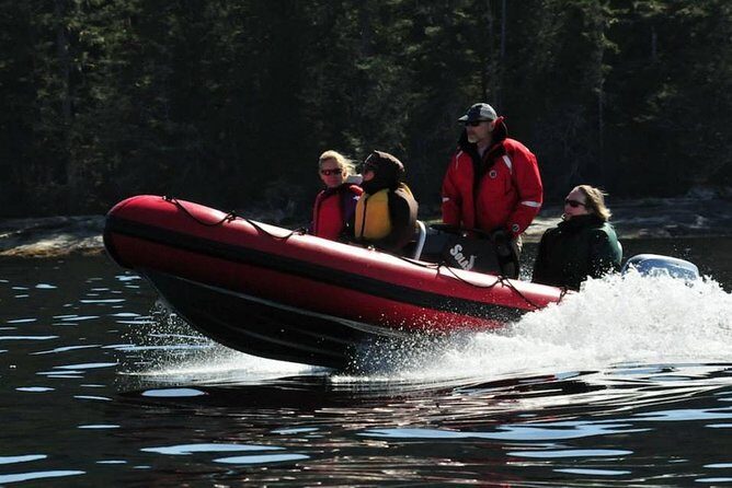 Small-Group Zodiac Wilderness Adventure from Ketchikan - Small-Group Zodiac Wilderness Adventure from Ketchikan: An Authentic Alaskan Marine Experience