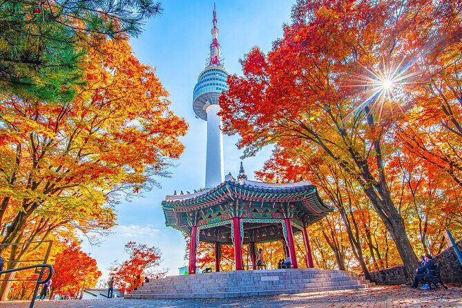 Small group(7pax) tour in Seoul including picking up(No shopping) - The Itinerary in Detail