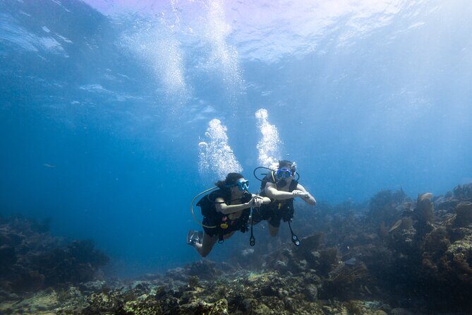 Small - Guided Shallow 2 Tank Dive Experience in Key Largo ALL GEAR INCLUDED - Who Should Book This Tour?